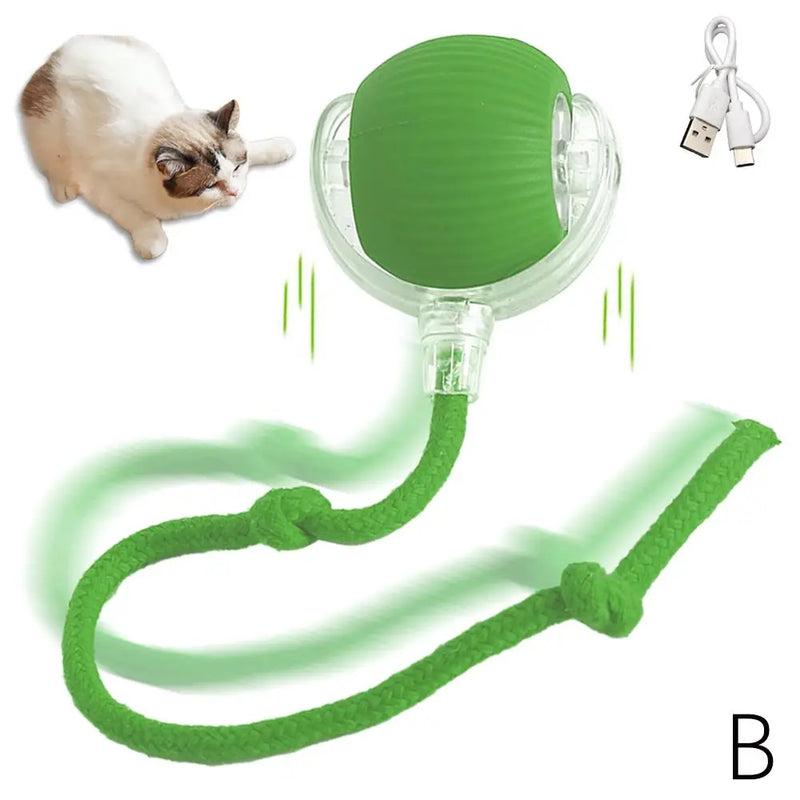 Bolinha Interativa para Pets